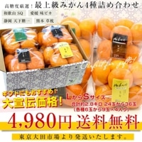 ✨10本セット✨ ふんわり暁月 みかん 期間限定 生産停止 廃盤