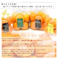 みかん様 オーダー専用ページ
