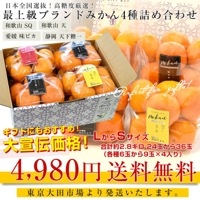 みかんかます様 4本 Amazon.co.jp: 糖度11度 JAみっかび 三ケ日青島みかん【優品】L