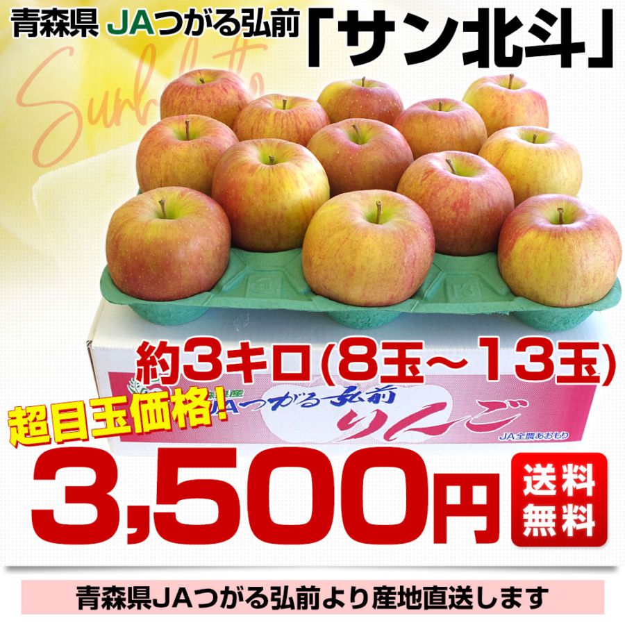 青森県より産地直送 JAつがる弘前 サン北斗 約3キロ (8玉から13玉