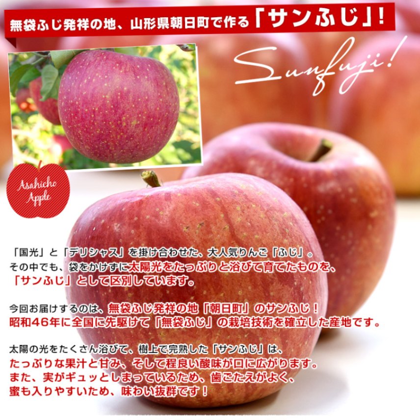 山形県産 JAさがえ西村山 朝日町のサンふじ 約3キロ (10玉から14玉