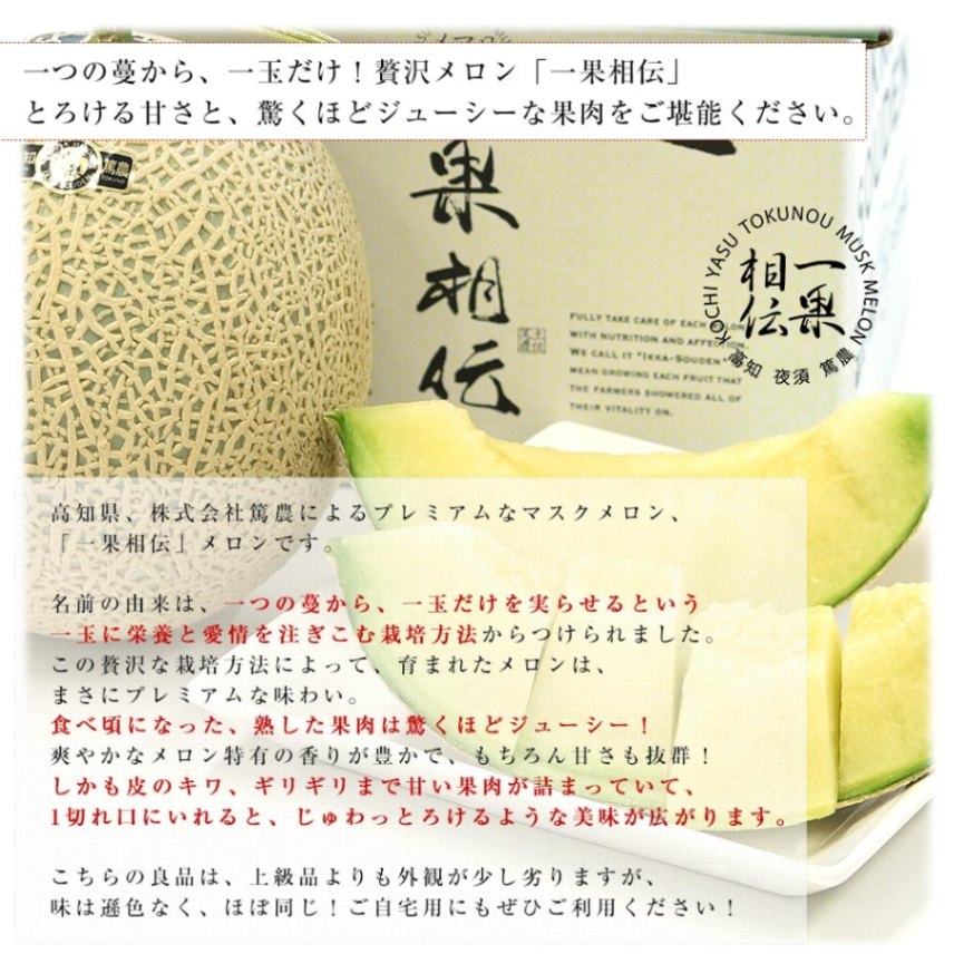 高知県産 高級マスクメロン「一果相伝(いっかそうでん)」良品 1玉 約