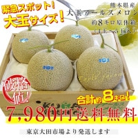 熊本県産 大玉アールスメロン 約8キロ原体箱（4玉から5玉入）送料無料
