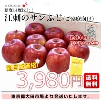 岩手県江刺産りんご☆訳ありサンふじ 江刺りんご サンふじ 約10kg 【12月中旬より出荷】特品 訳あり