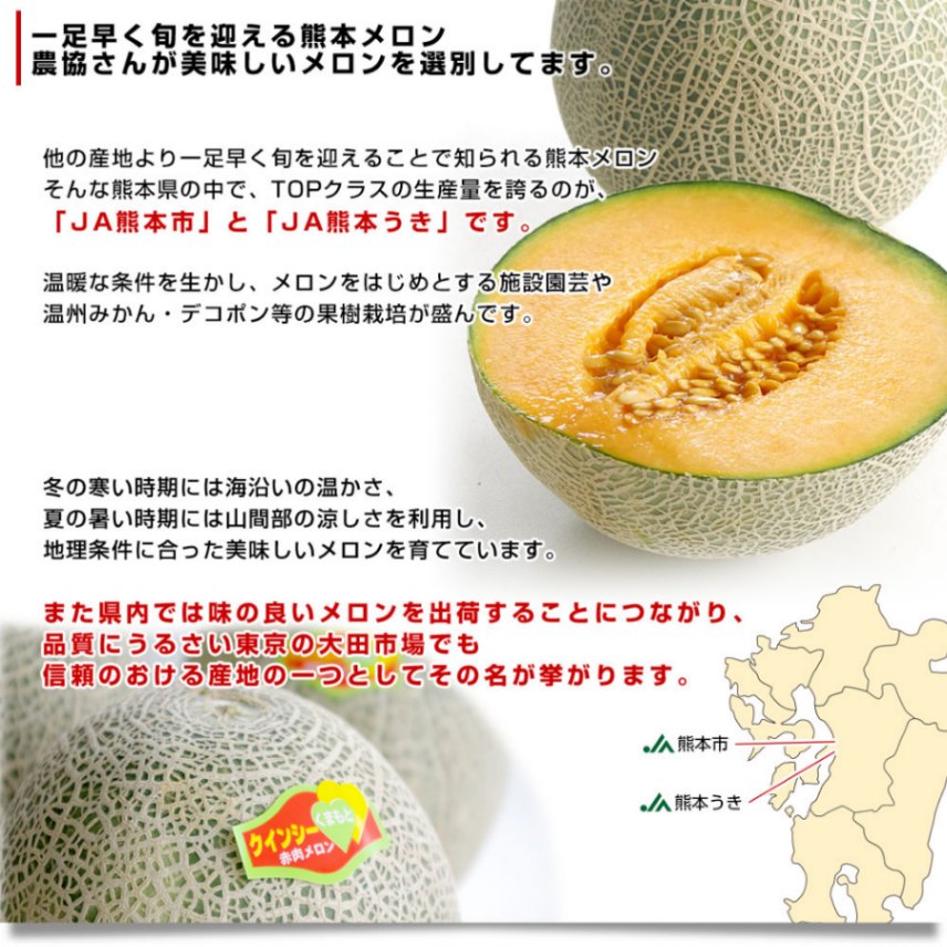 熊本県産 JA熊本市又はJA熊本うき クインシーメロン 超大玉 4Lから3L