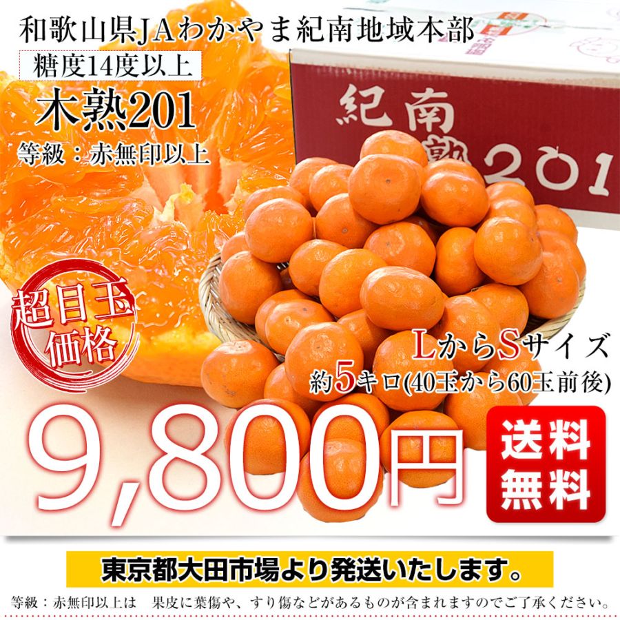 和歌山県 JAわかやま紀南地域本部 高糖度みかん「木熟201」赤無印以上 和歌山県 JAわかやま紀南地域本部 高糖度みかん「木熟201」赤無印以上