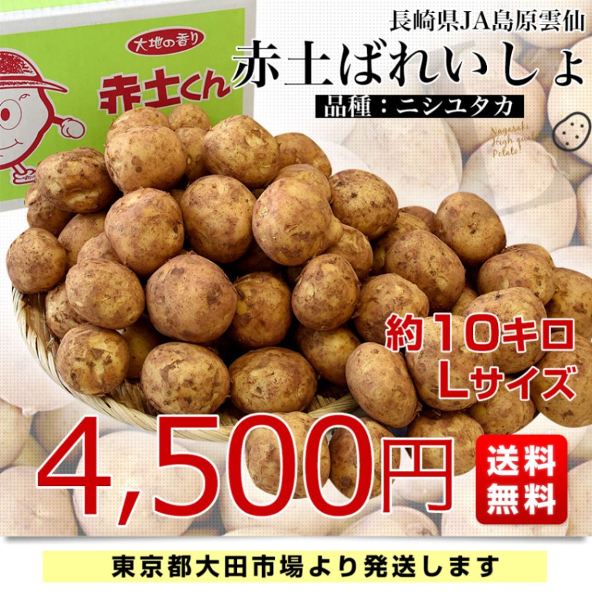 長崎県産 にしゆたか じゃがいも 20キロ