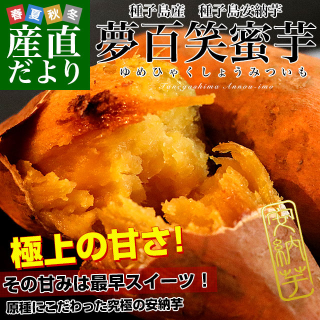 绺̴ɴ̪750g2Ȣ18ˡ̵ԾȯΤ⡡ߤĤ⡡縩  Ǽ