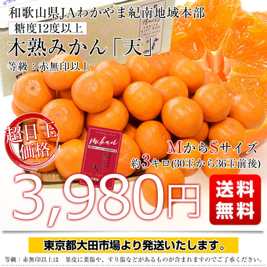 和歌山県 JAわかやま紀南地域本部 糖度12度以上 木熟みかん「天」約3