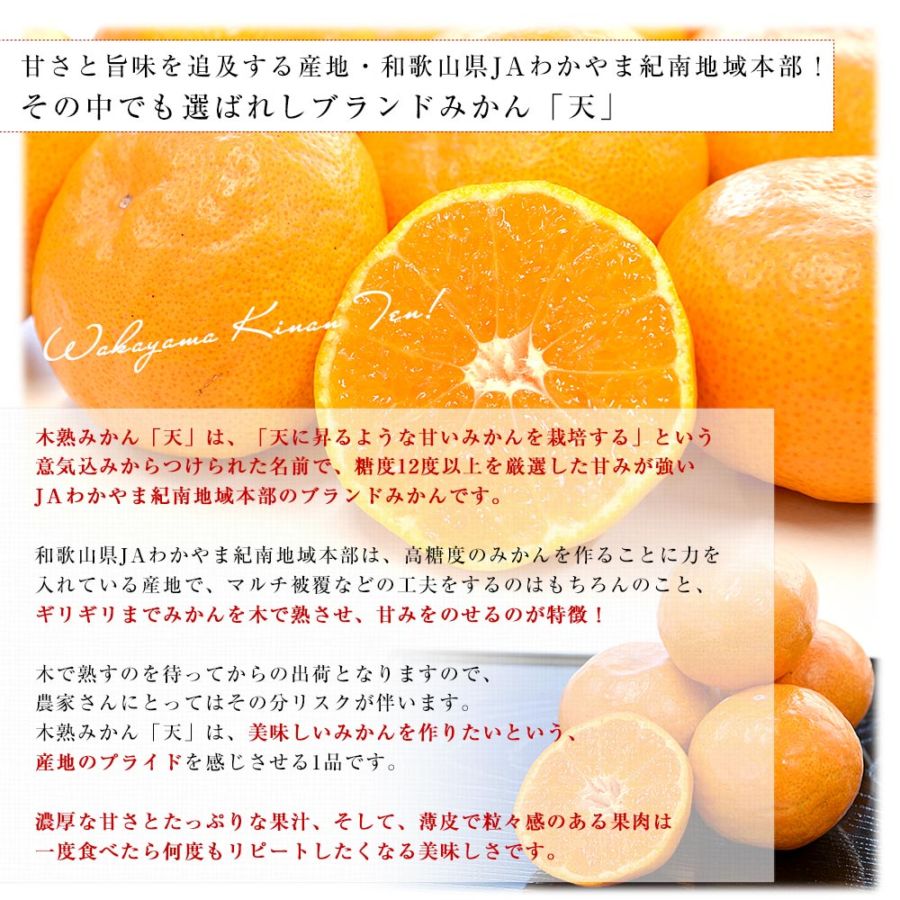 和歌山県 JAわかやま紀南地域本部 糖度12度以上 木熟みかん「天」約3