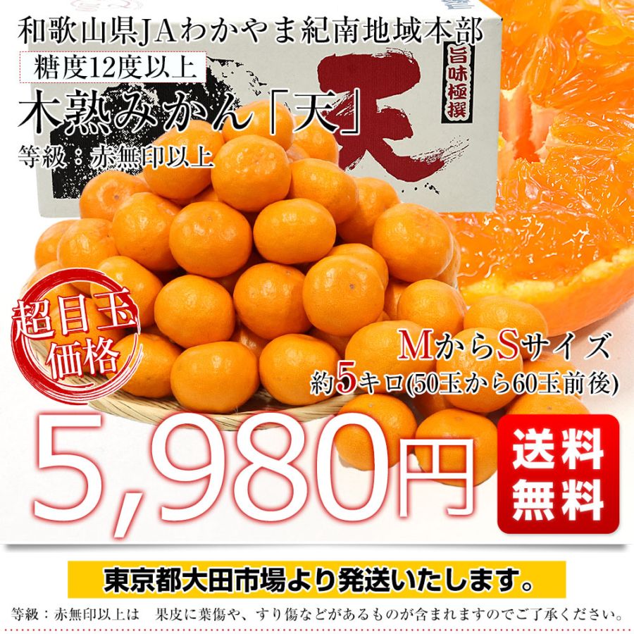 和歌山県 JAわかやま紀南地域本部 糖度12度以上 木熟みかん「天」等級
