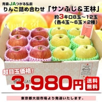 青森県産 JAつがる弘前 りんご詰め合わせ サンふじ＆王林 約3キロ 8玉