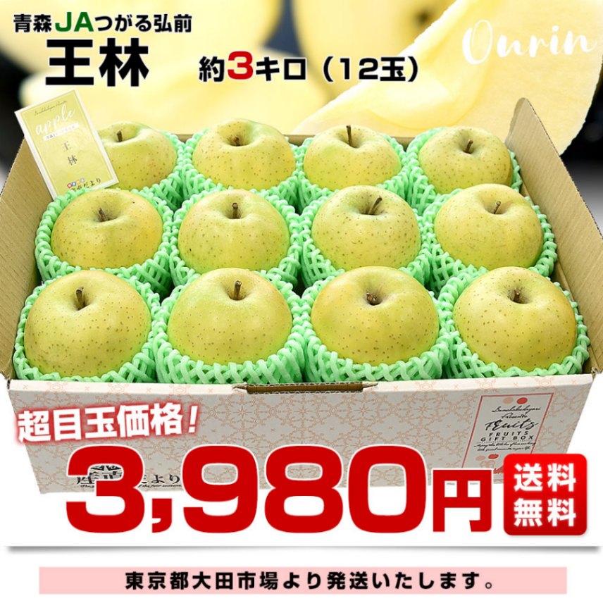 ▲林檎▲ 林檎 横向き林檎 1989 Kawasaki Ninja ZX7 restoration part 14 - Paint