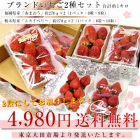 いちごとワカメさんさま　2キロ いちごとワカメさんさま 2キロ いちごとワカメさんさま 2キロ