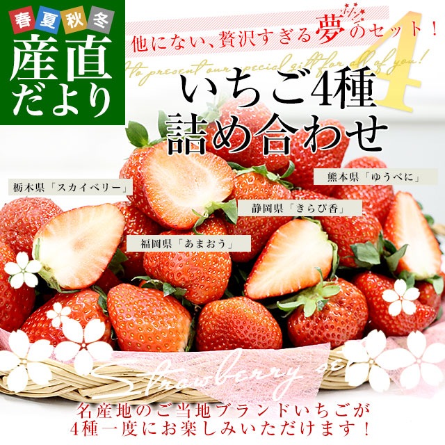 いちご4種詰め合わせ 合計約1キロ【福岡県「あまおう」約270g & 静岡県