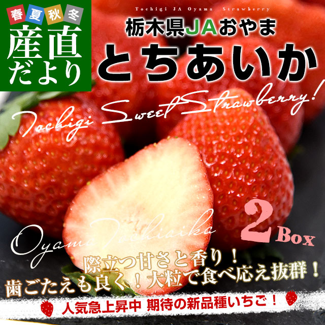 ���ڸ���껺��ľ�� JA����� ��γ �Ȥ������� ��Ȣ���å� 1�����ʾ� (��540g��2Ȣ) (���20γ����28γ����) ����̵�� ������ ������ �� ��������