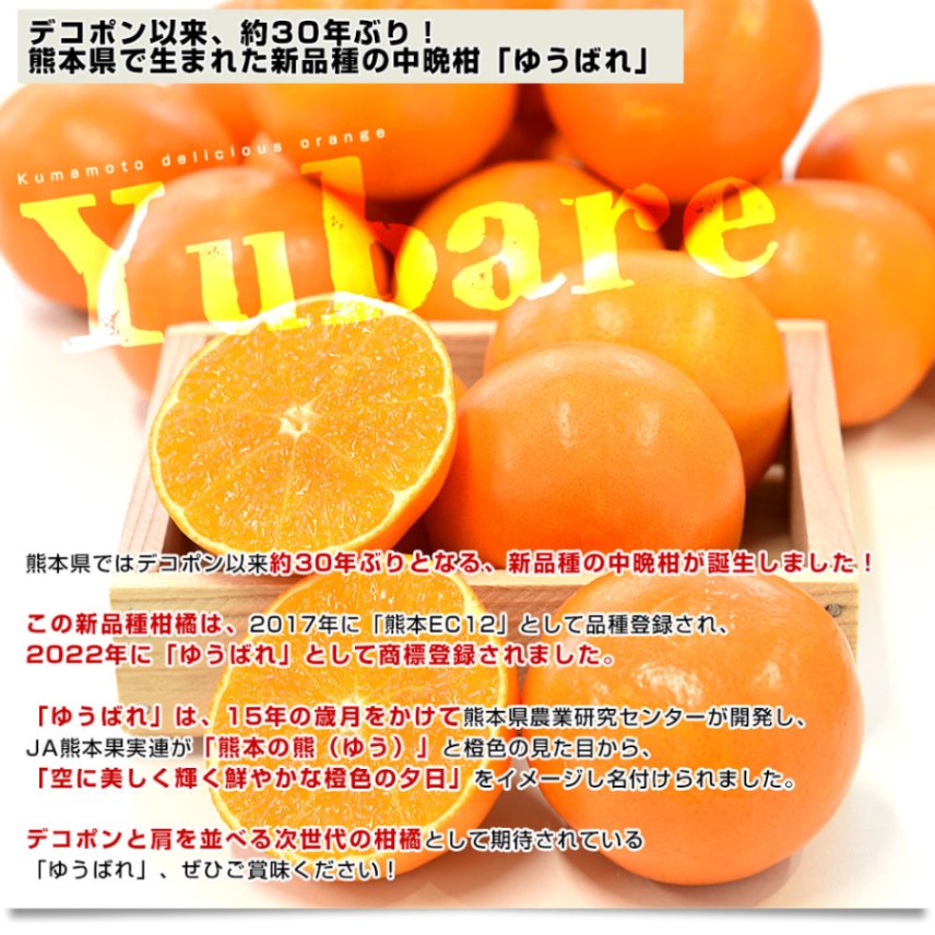 ガレコップ 5ケ 箱付き 無花果 果実 オレンジ 銘 希少 ガレコップ 5ケ 箱付き 無花果 果実 オレンジ 銘 希少