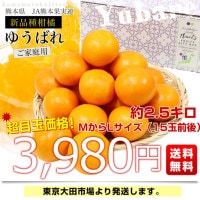 新品種　熊本EC12　ゆうばれ　箱込10キロ　ラスト2 ランキング上位のプレゼント 新品種 熊本EC12 ゆうばれ 箱込10