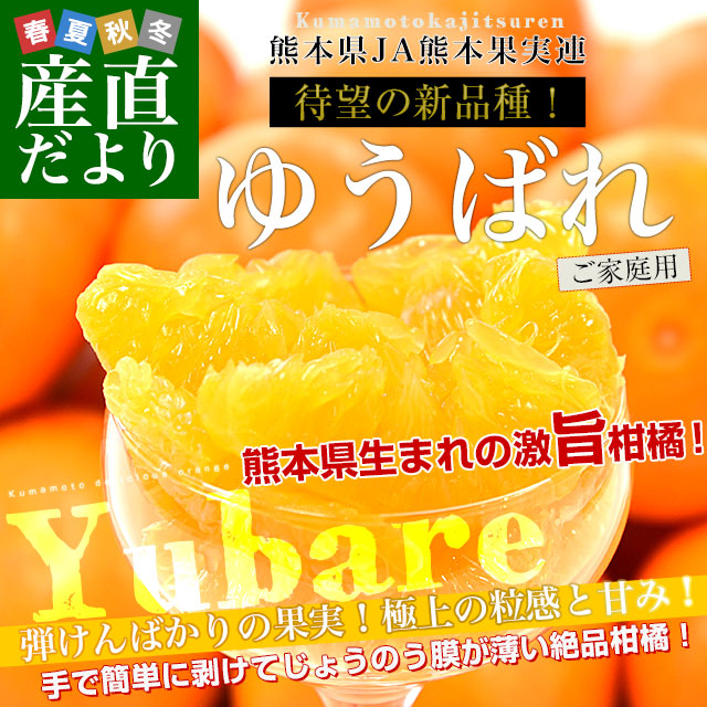 熊本県産 JA熊本果実連 新品種柑橘 ゆうばれ ご家庭用 約2.5キロ Mから