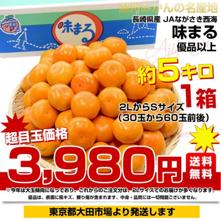 長崎県 JAながさき西海 味まる 2LからSサイズ 優品以上 約5キロ(30玉