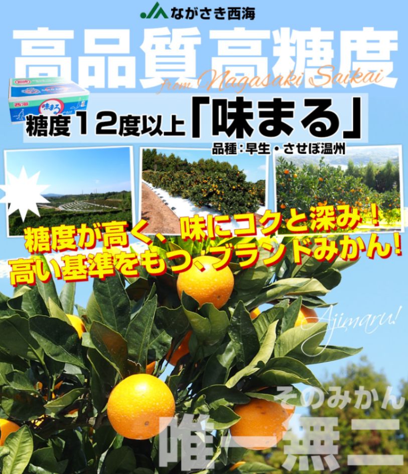長崎県 JAながさき西海 味まる 2LからSサイズ 優品以上 約5キロ(30玉