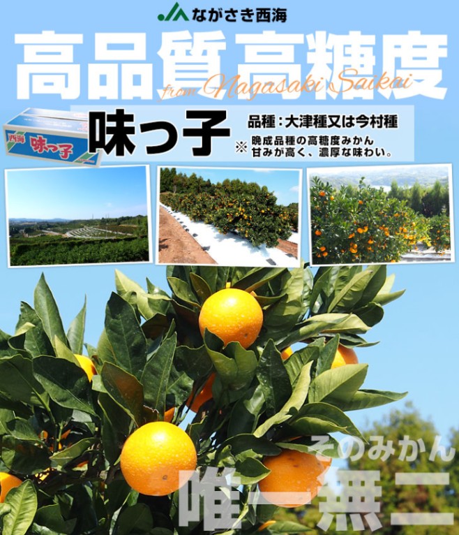 みかんっ子ページ 000000002404_2_twBTjX8.jpg