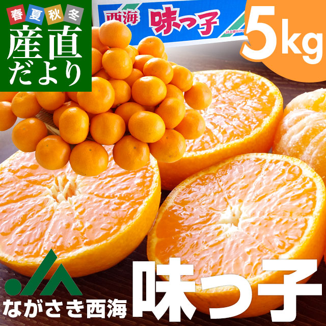 長崎県 JAながさき西海 味っ子 約5キロLからMサイズ (40玉から50玉前後