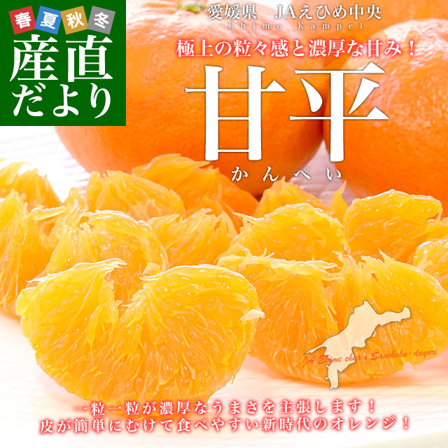 愛媛県産 JAえひめ中央 甘平 赤秀品 化粧箱 4Lから2Lサイズ 約3キロ(8