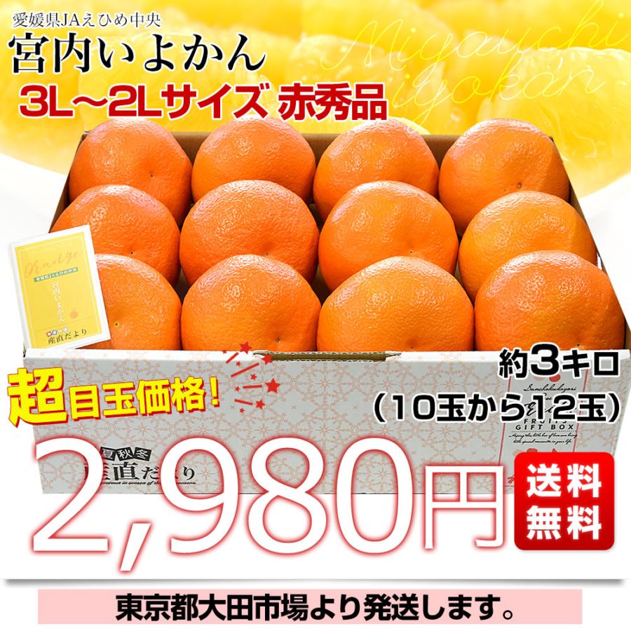 愛媛県産 JAえひめ中央 宮内いよかん 赤秀品 約3キロ 3Lから2Lサイズ