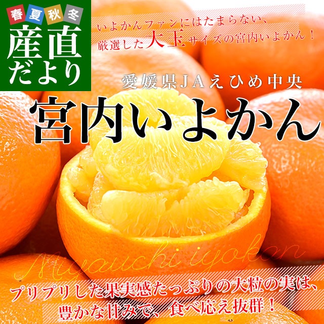 愛媛県産 JAえひめ中央 宮内いよかん 赤秀品 約3キロ 3Lから2Lサイズ
