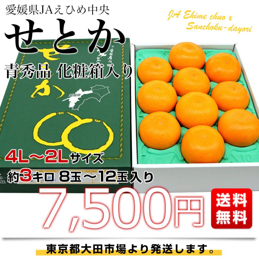 愛媛県産 JAえひめ中央 せとか 青秀品 化粧箱 4Lから2Lサイズ 約3キロ
