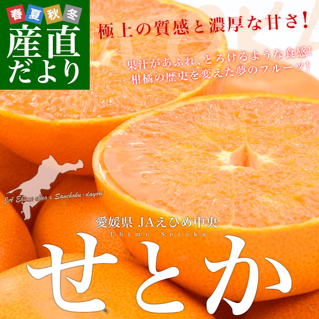 愛媛県産 JAえひめ中央 せとか 青秀品 化粧箱 4Lから2Lサイズ 約3キロ