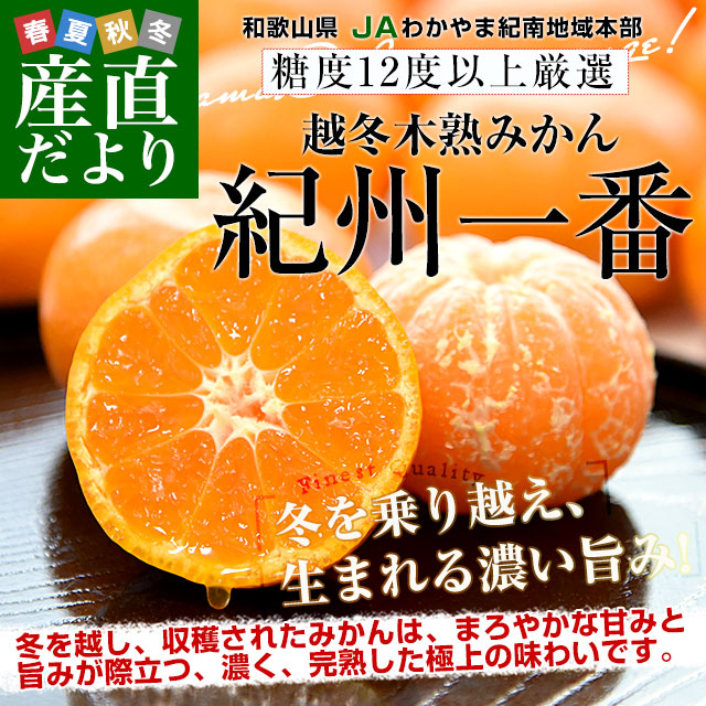 �²λ��� JA�狼��޵����ϰ����� �����ڽϤߤ���ֵ������֡�L����S������ ��5����(40�̤���60������) ����̵�� �ߤ��� �ߥ��� 