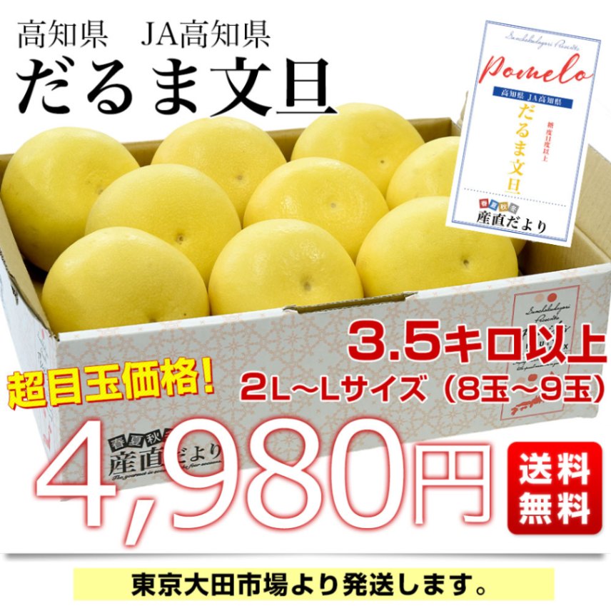 高知県産 JA高知県 だるま文旦 3.5キロ以上 2LからLサイズ（8玉から9玉
