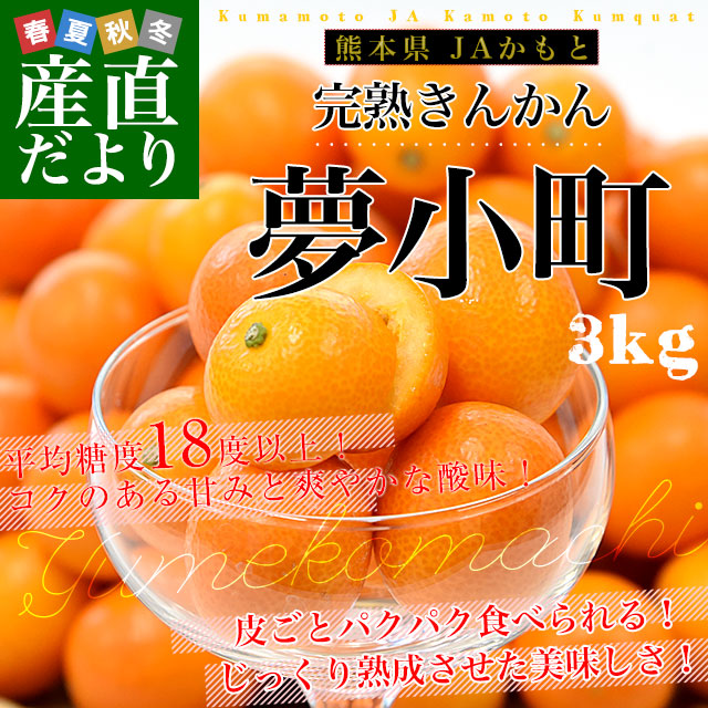 熊本県 JAかもと 完熟きんかん「夢小町」秀品 約3キロ Lサイズ以上