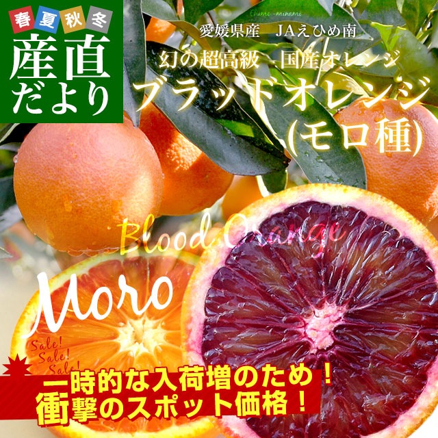 緊急スポット価格！】愛媛県産JAえひめ南 ブラッドオレンジ(モロ種