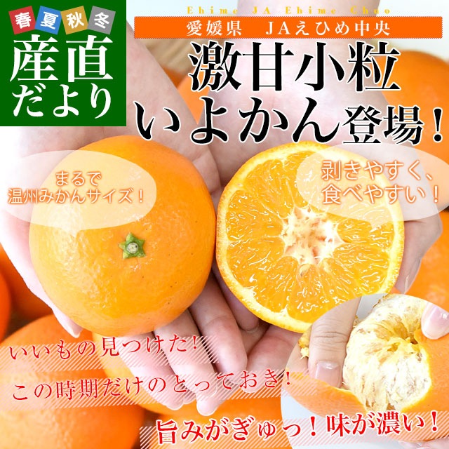 愛媛県産 JAえひめ中央 宮内いよかん 秀品 小粒 約3キロ (18玉前後