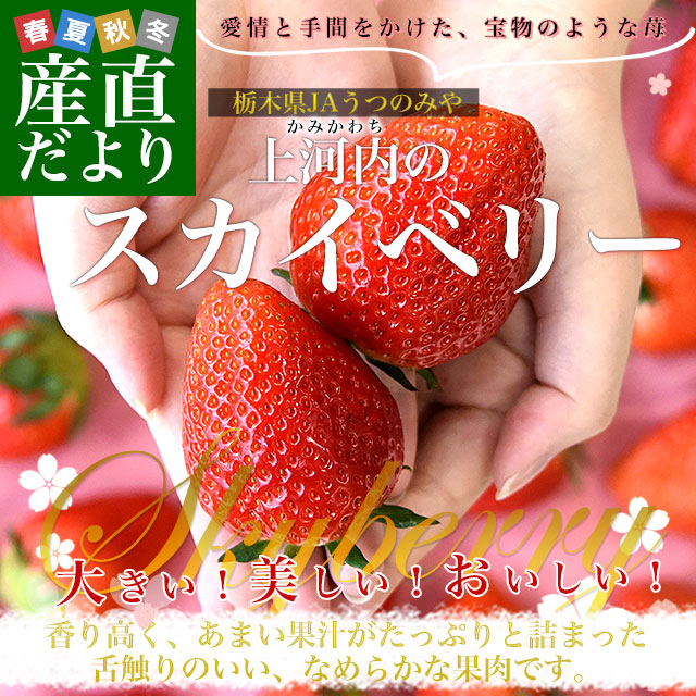 ���ڸ��� JA���ĤΤߤ�־����Υ������٥꡼�׹��1�����ʾ� (��280g��4�ѥå�) 1�ѥå���5γ����8γ���� ����̵�� �� ������ ������ ���ڤ�����