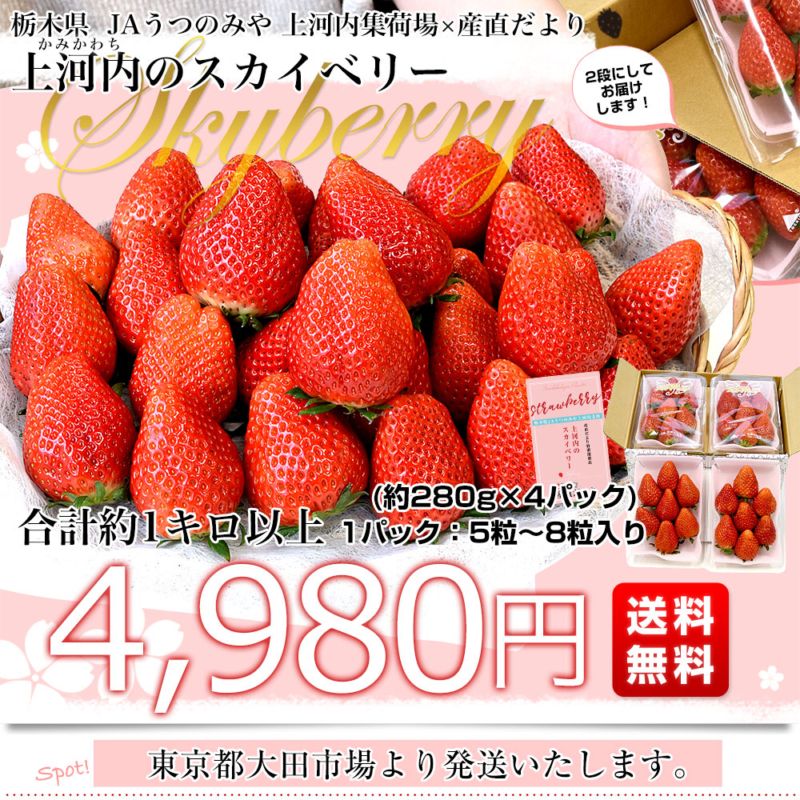栃木県産 JAうつのみや「上河内のスカイベリー」合計1キロ以上 (約280g