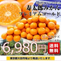 静岡県産 JAふじ伊豆 西浦柑橘出荷部会 寿太郎みかんプレミアム
