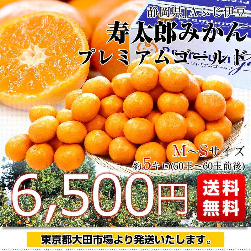 【健康・長寿・子宝】MR70 瑪瑙⭐️太陽⭐️白シュガーザクザクジォード 專科醫師推薦【達摩本草】美國專利白腎豆＋非洲芒果籽｜專為東方人設計