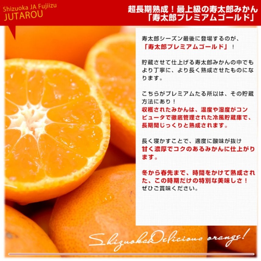 静岡県産 JAふじ伊豆 西浦柑橘出荷部会 寿太郎みかんプレミアム