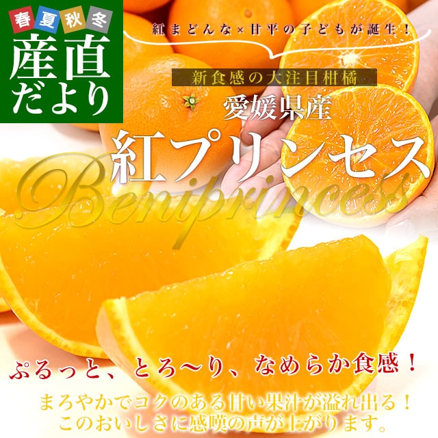 愛媛県産「紅プリンセス」優品以上 約2.5キロ2LからMサイズ(10玉から16