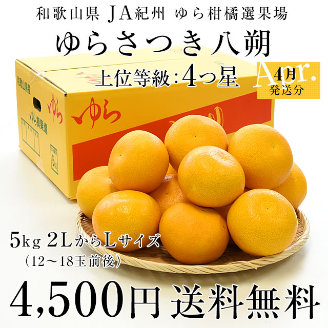 和歌山県産 JA紀州ゆら選果場 ゆらはっさく さつき八朔 上級等級：4つ