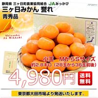 【みかみか♡様】専用・（赤+青、各360ｇ）★≪リクエスト特割特価≫ 静岡県 JAみっかび 三ヶ日みかん 青島誉れ 希少な小玉 MからSサイズ