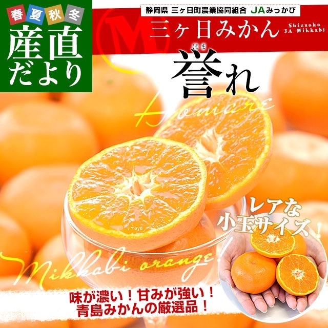 静岡県産 JAみっかび 三ヶ日みかん 青島誉れ 希少な小玉 MからSサイズ