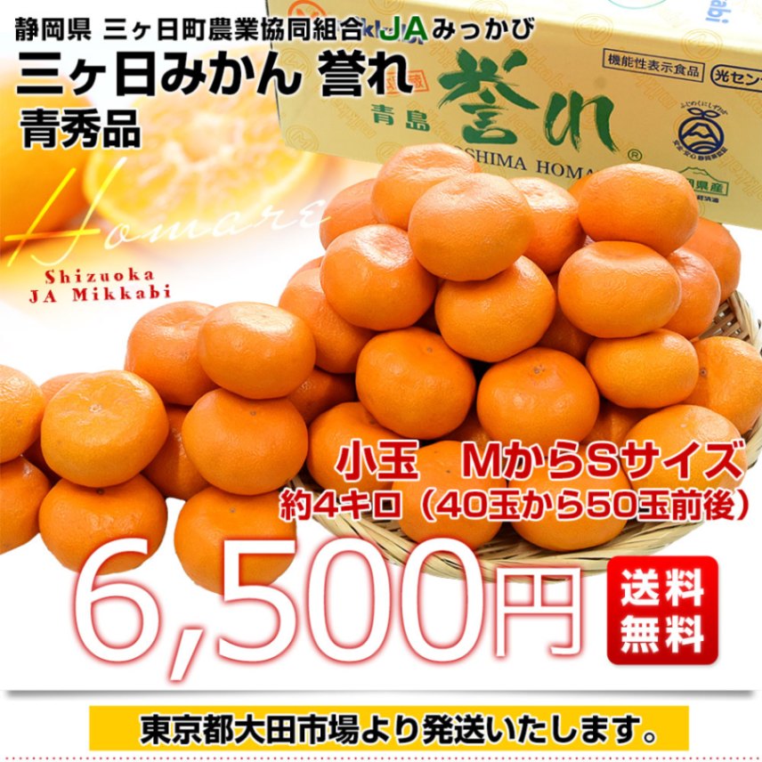 静岡県産 JAみっかび 三ヶ日みかん 青島誉れ 希少な小玉 MからSサイズ