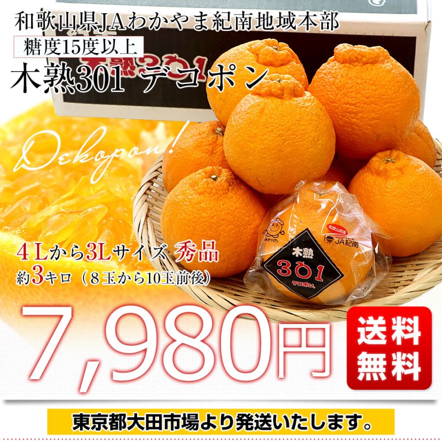 和歌山県 JAわかやま紀南地域本部 木熟301 デコポン 4Lから3Lサイズ 秀
