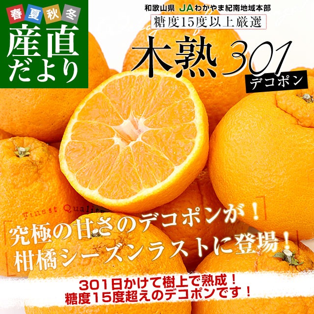 和歌山県 JAわかやま紀南地域本部 木熟301 デコポン 4Lから3Lサイズ 秀