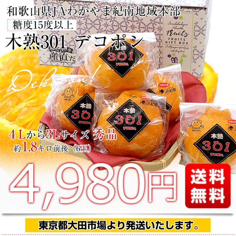 和歌山県 JAわかやま紀南地域本部 木熟301 デコポン 4Lから3Lサイズ 秀